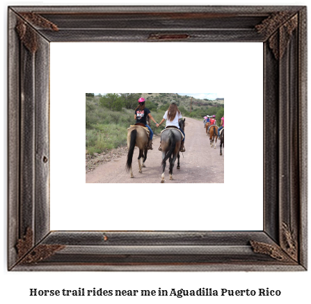 horse trail rides near me in Aguadilla, Puerto Rico